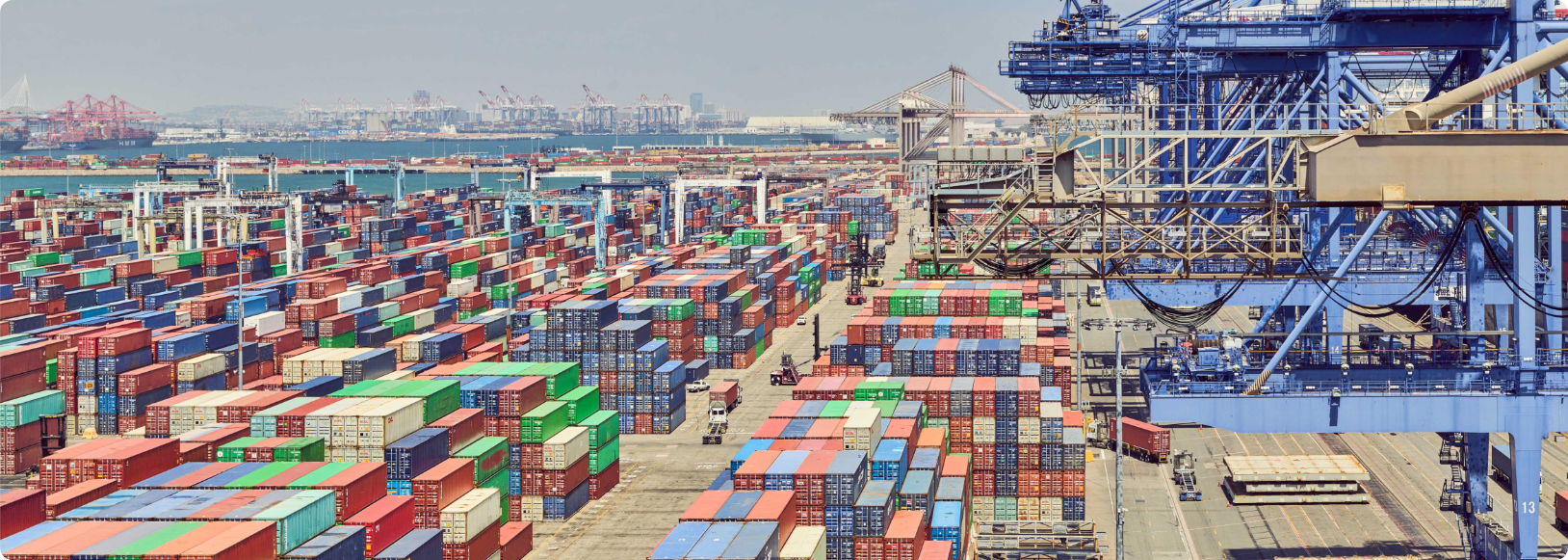 View of green city shipping containers